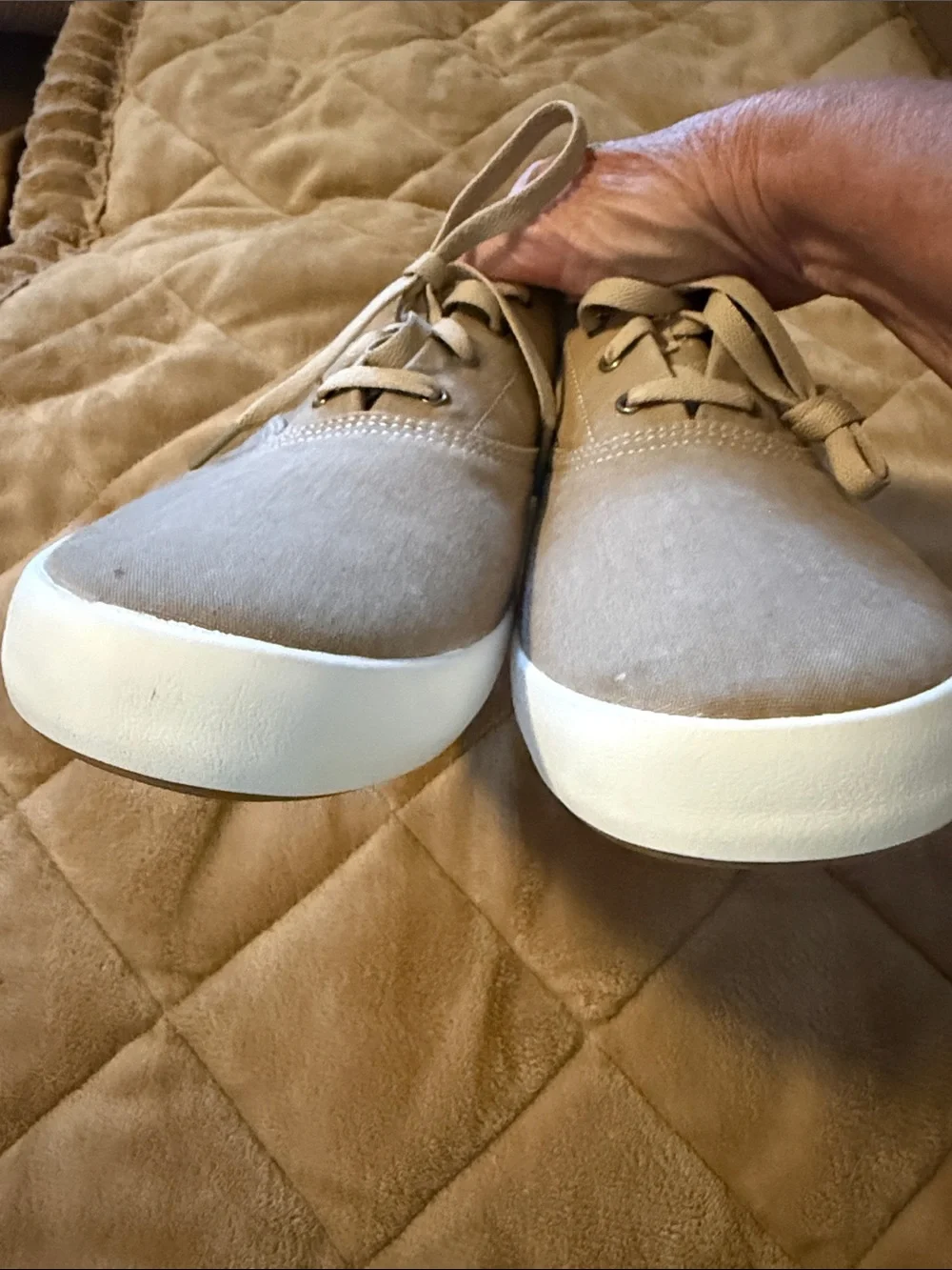 Sperry Men's Taupe Canvas Lace-Up Boat Shoes, NWOT
